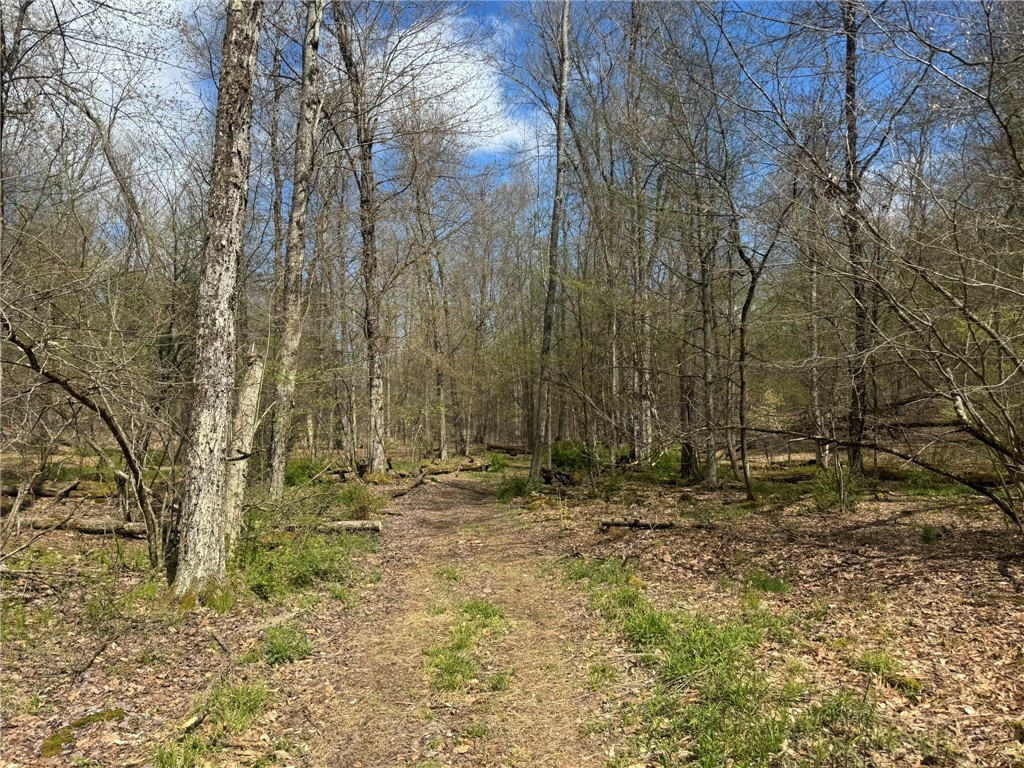 0 Patent Line Road Franklin, NY 13775 - Photo 28 of 45