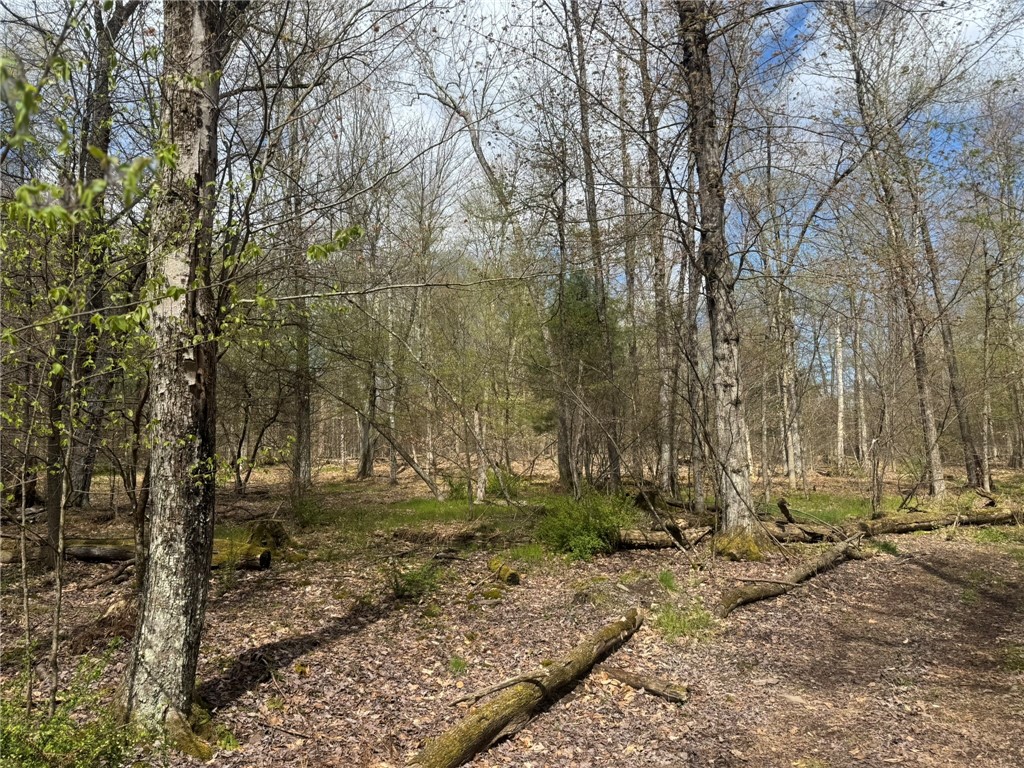 0 Patent Line Road Franklin, NY 13775 - Photo 29 of 45