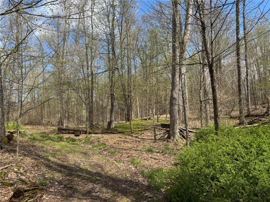 0 Patent Line Road Franklin, NY 13775 - Photo 32 of 45