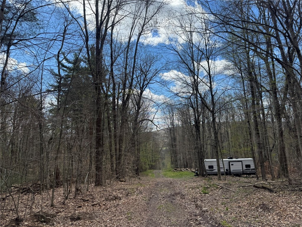 0 Patent Line Road Franklin, NY 13775 - Photo 36 of 45