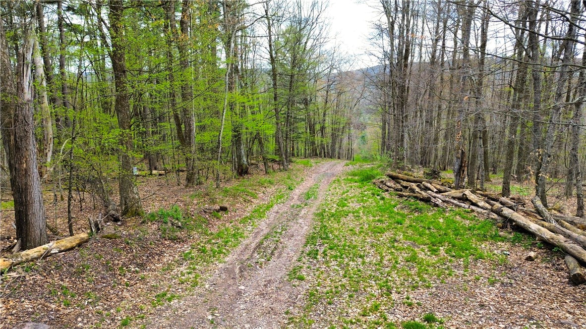 0 Patent Line Road Franklin, NY 13775 - Photo 4 of 45