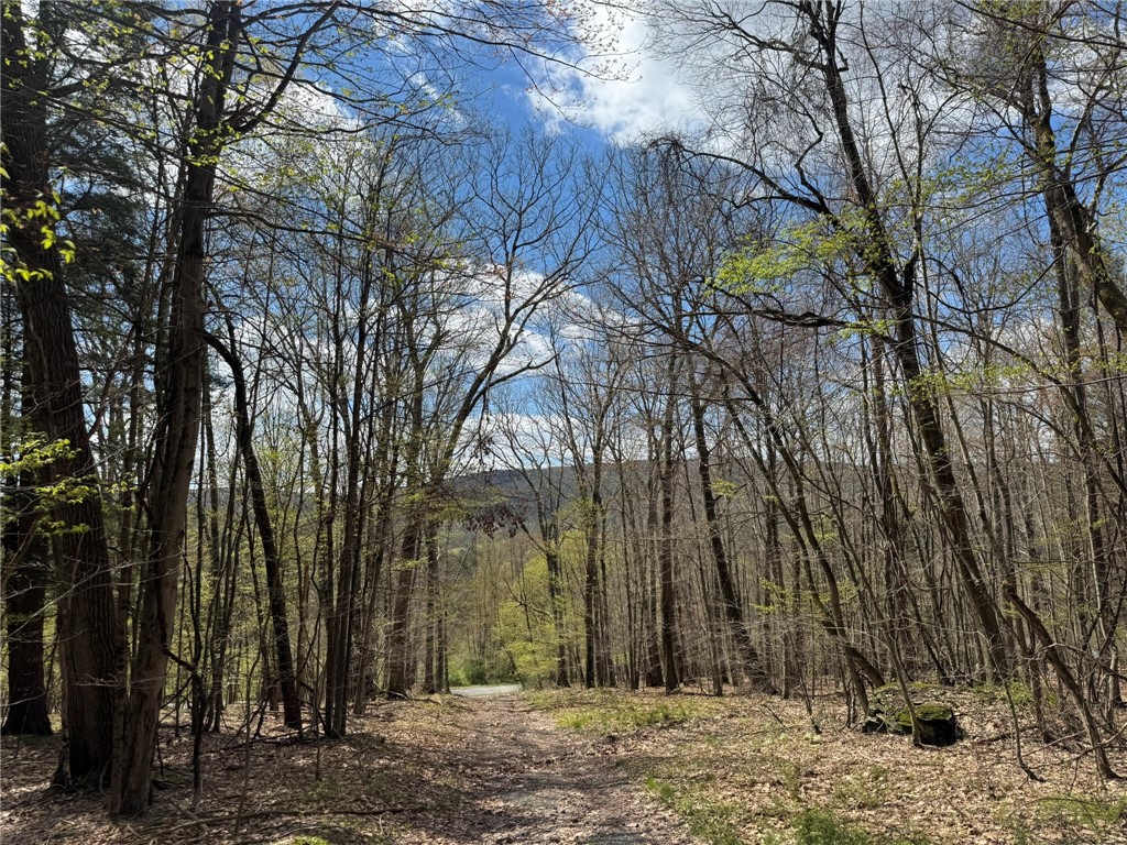 0 Patent Line Road Franklin, NY 13775 - Photo 42 of 45