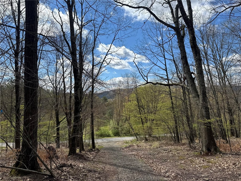 0 Patent Line Road Franklin, NY 13775 - Photo 43 of 45