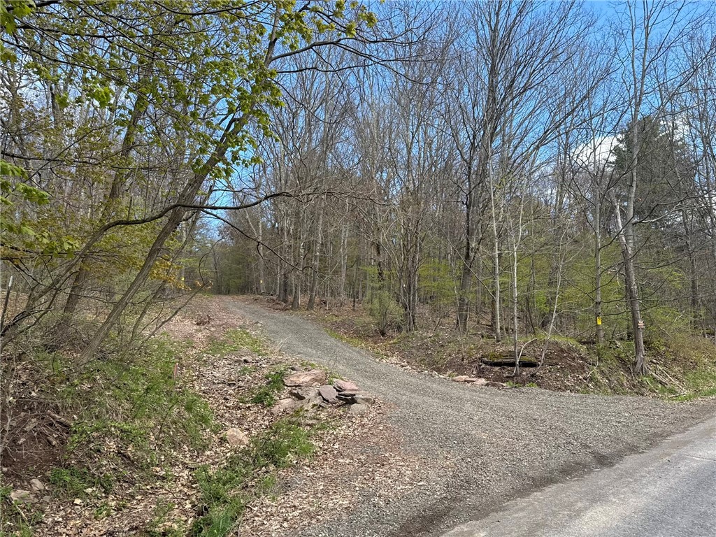 0 Patent Line Road Franklin, NY 13775 - Photo 44 of 45