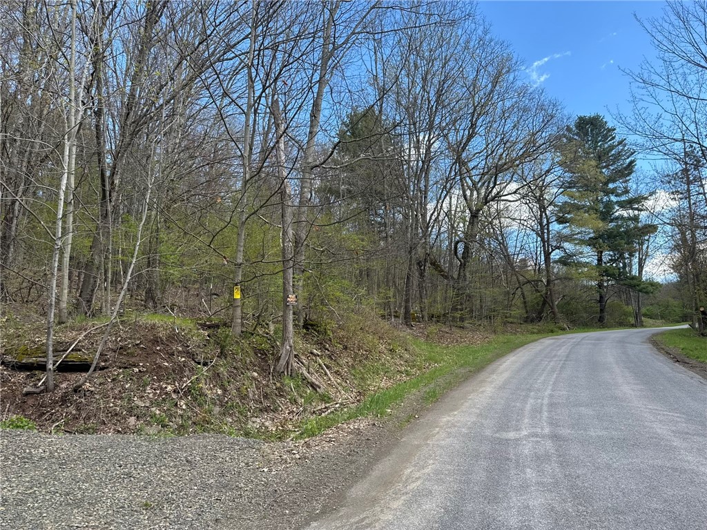 0 Patent Line Road Franklin, NY 13775 - Photo 45 of 45