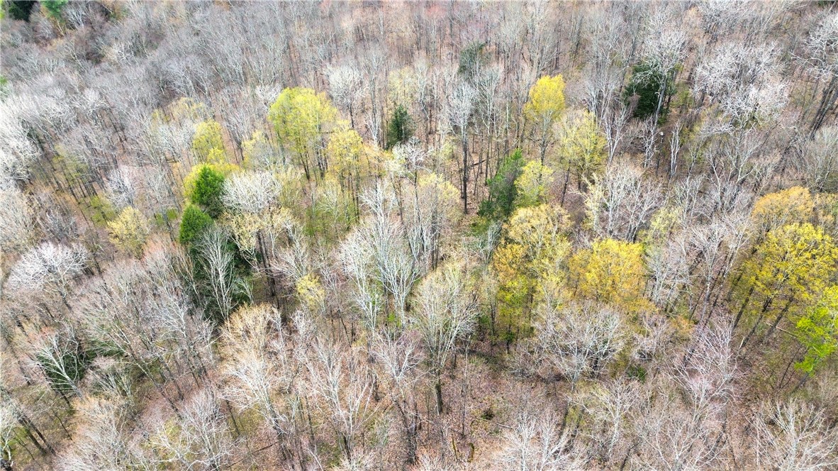 0 Patent Line Road Franklin, NY 13775 - Photo 10 of 45