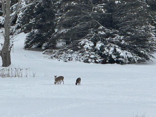 $536,000 | 110 Bedford Court, Cadillac, MI 49601