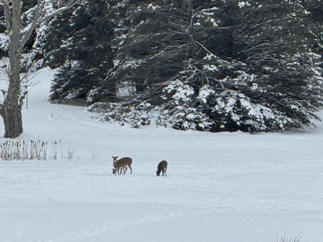 $544,000 | 110 Bedford Court, Cadillac, MI 49601