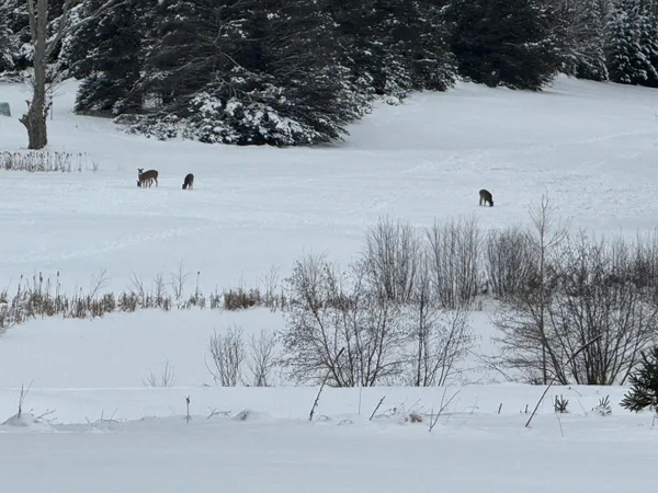 $536,000 | 110 Bedford Court, Cadillac, MI 49601