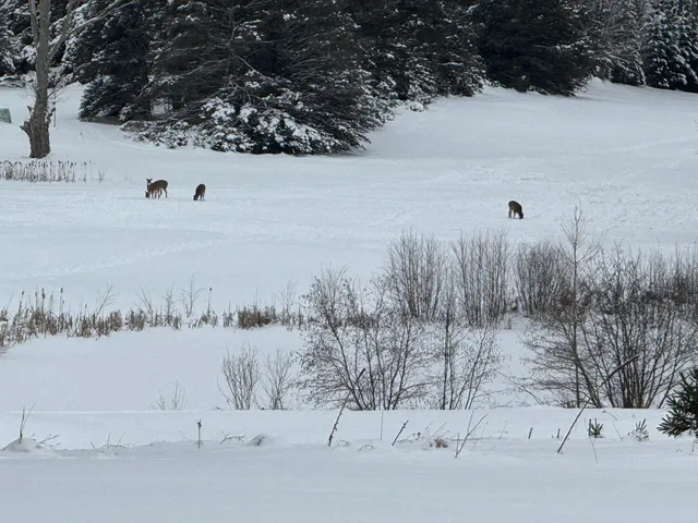 $544,000 | 110 Bedford Court, Cadillac, MI 49601