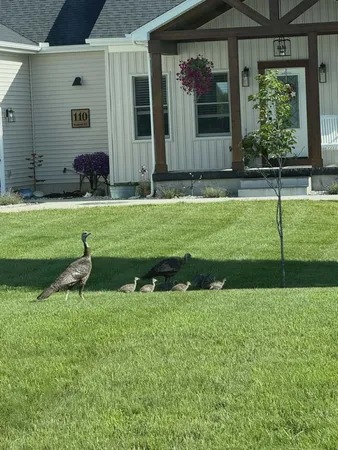 $536,000 | 110 Bedford Court, Cadillac, MI 49601