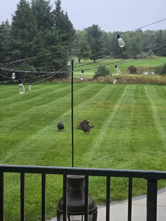 $536,000 | 110 Bedford Court, Cadillac, MI 49601