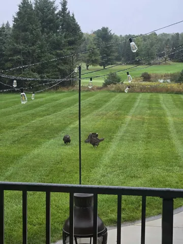 $544,000 | 110 Bedford Court, Cadillac, MI 49601