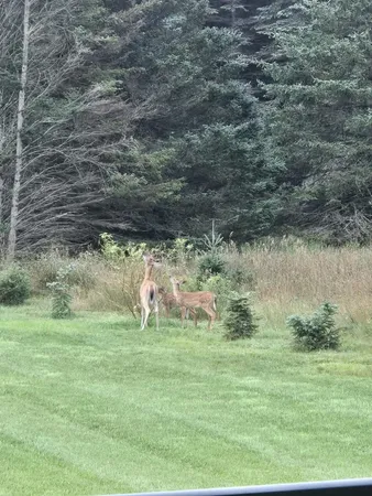 $536,000 | 110 Bedford Court, Cadillac, MI 49601