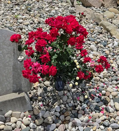 $536,000 | 110 Bedford Court, Cadillac, MI 49601