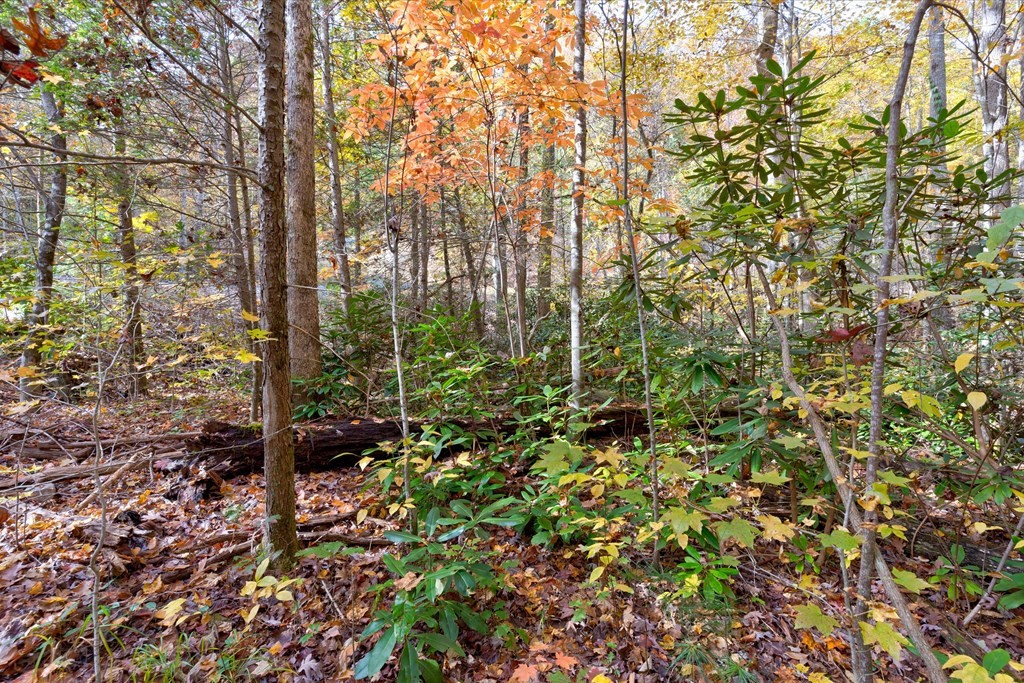 20 Whetstone Road Sevierville, TN 37862 - Photo 7 of 24 Gallery Image 7