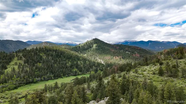 a view of a lush green field with mountains in the background