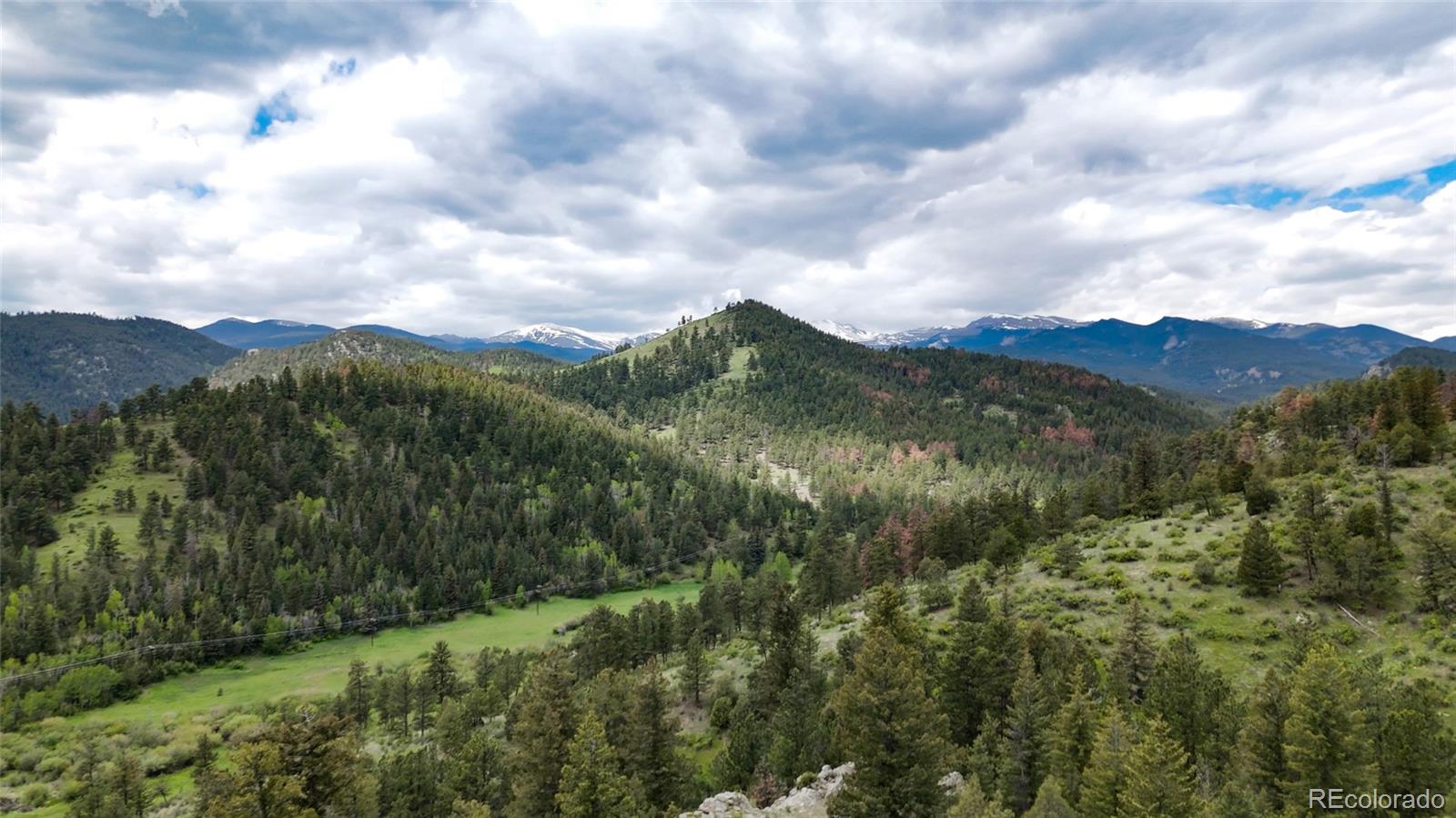 a view of a lush green field with mountains in the background
