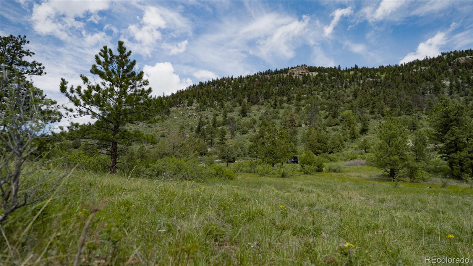 Upper Bear Creek Road Evergreen, CO 80439 - Photo 12 of 31 a view of a lush green forest with lots of trees