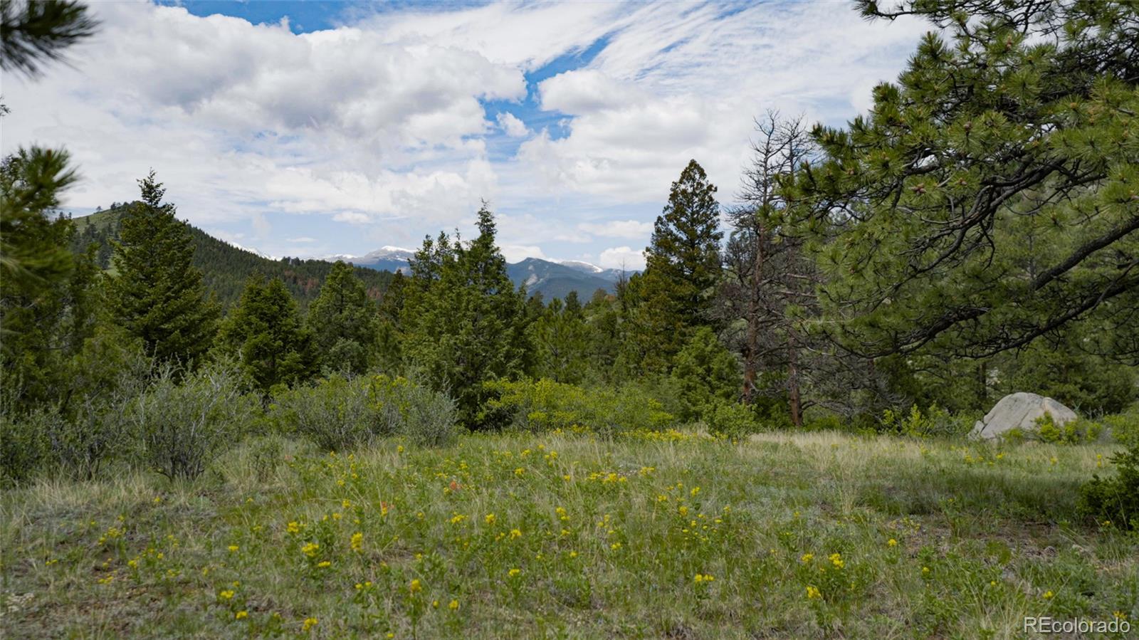 Upper Bear Creek Road Evergreen, CO 80439 - Photo 13 of 31 a view of a city and lush green forest