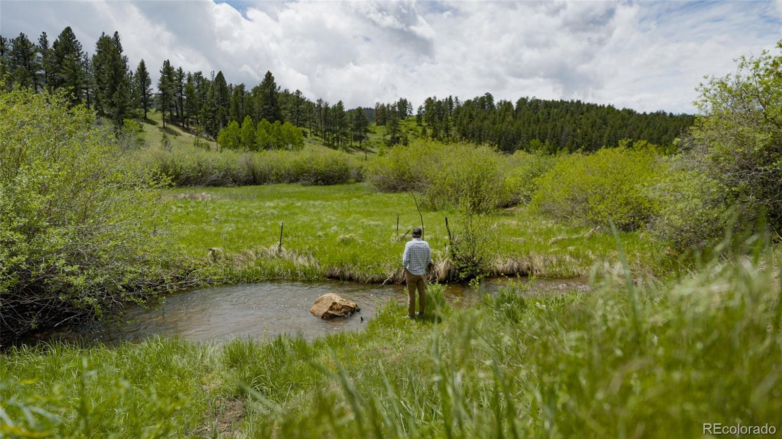 Upper Bear Creek Road Evergreen, CO 80439 - Photo 15 of 31 a view of an outdoor space and a lake view