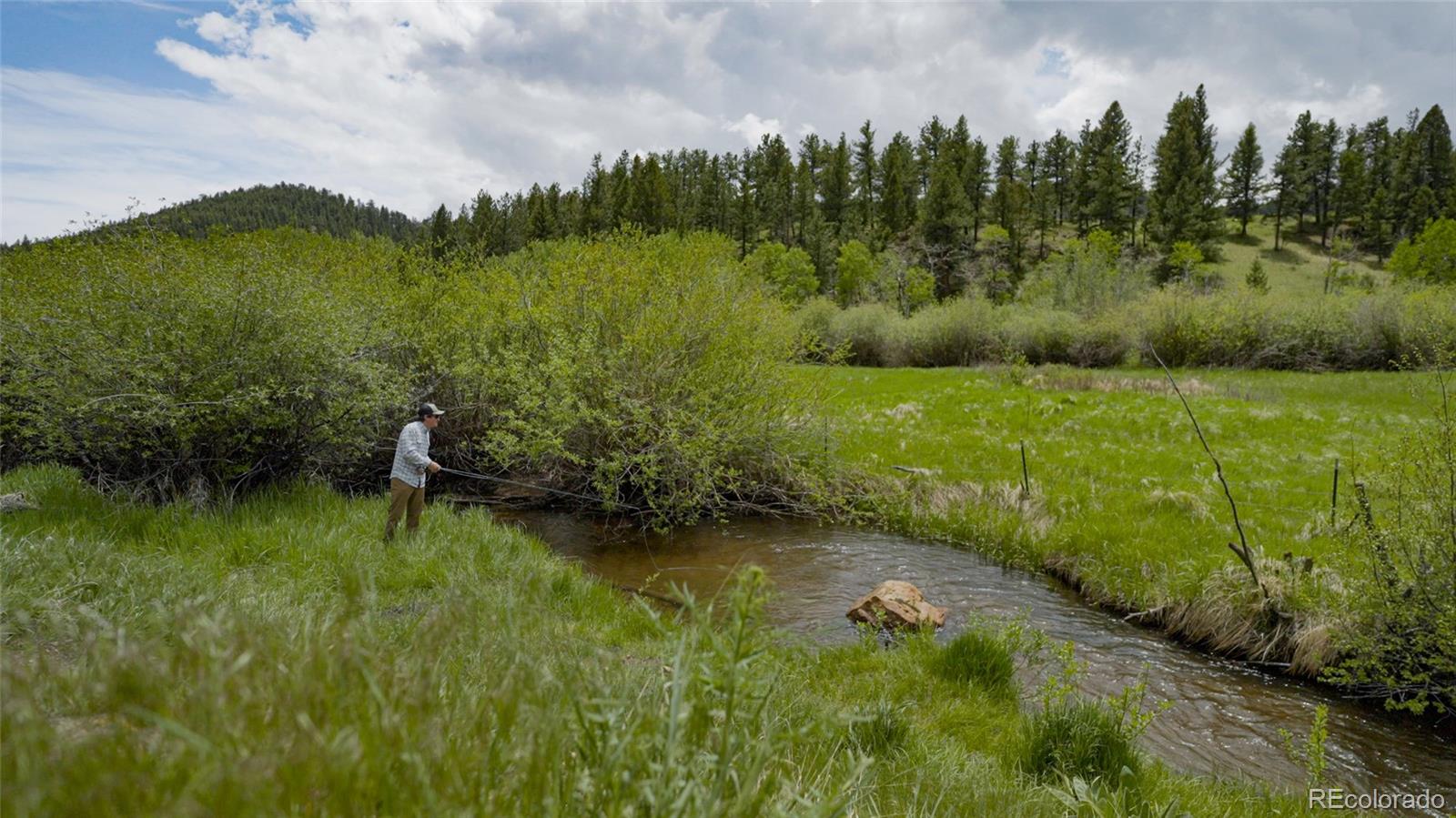 Upper Bear Creek Road Evergreen, CO 80439 - Photo 16 of 31 a view of a garden with an outdoor space