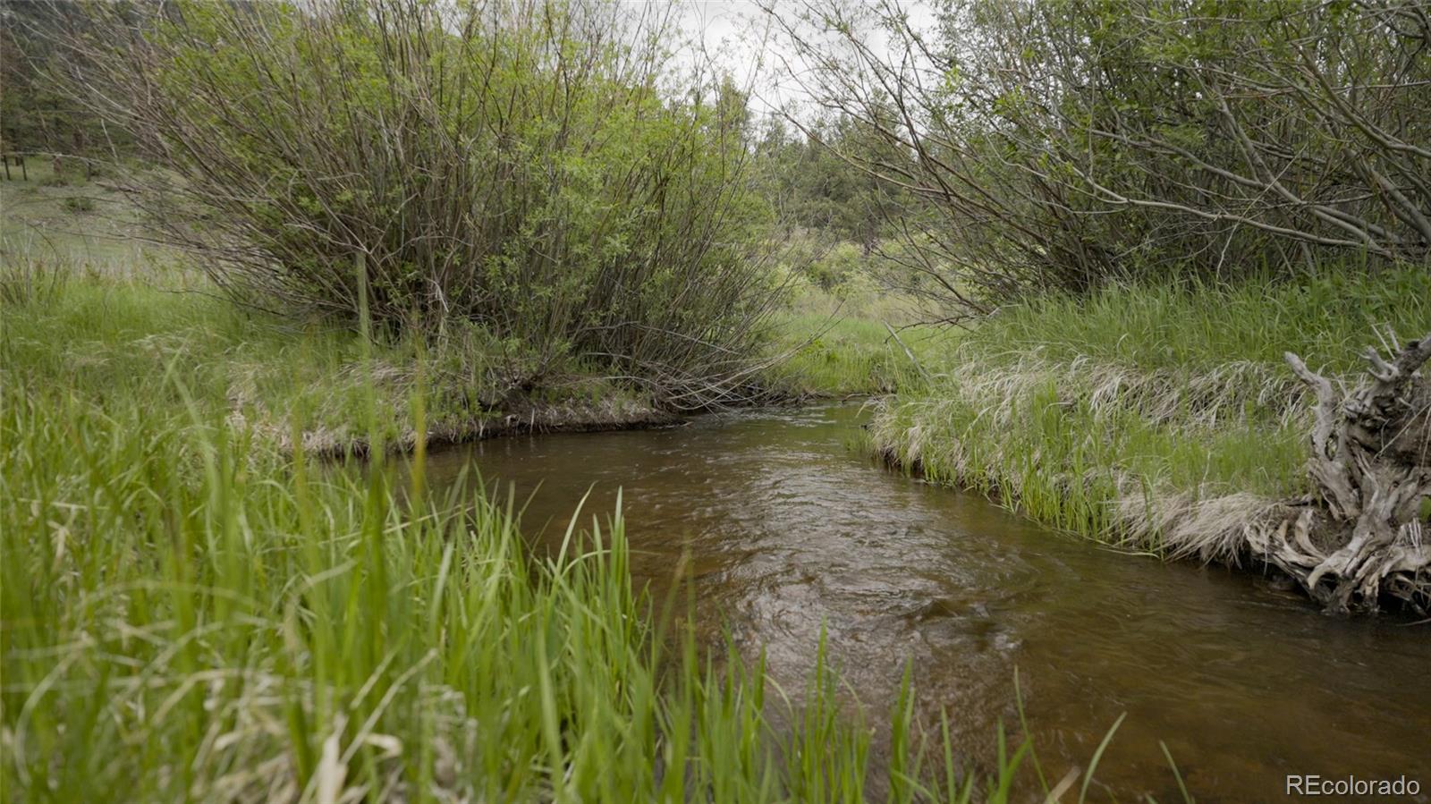 Upper Bear Creek Road Evergreen, CO 80439 - Photo 17 of 31 a view of a lake with a yard