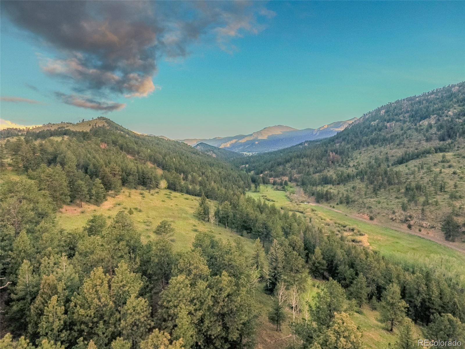 Upper Bear Creek Road Evergreen, CO 80439 - Photo 20 of 31 a view of a mountain range with lush green forest