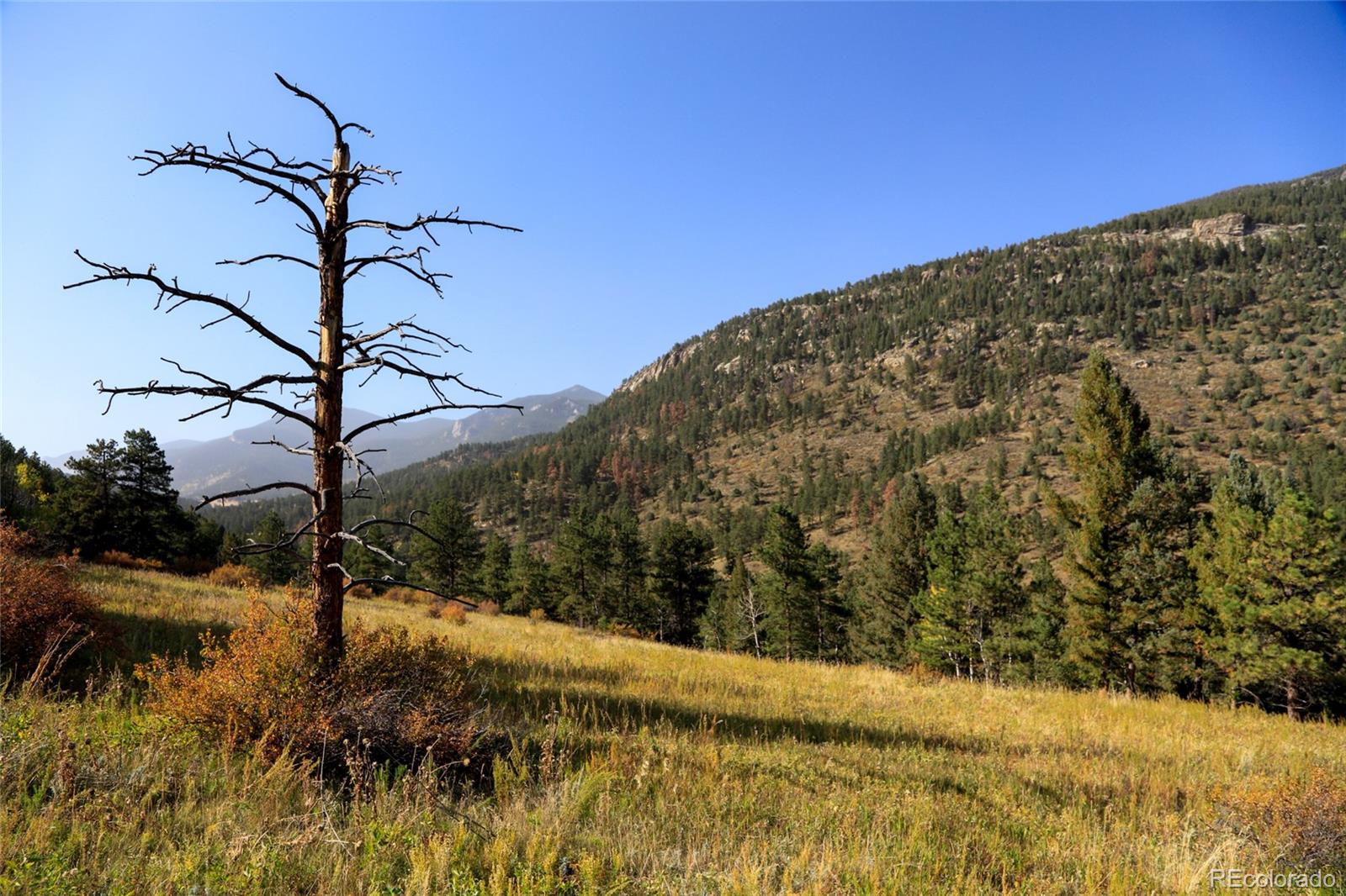 Upper Bear Creek Road Evergreen, CO 80439 - Photo 22 of 31