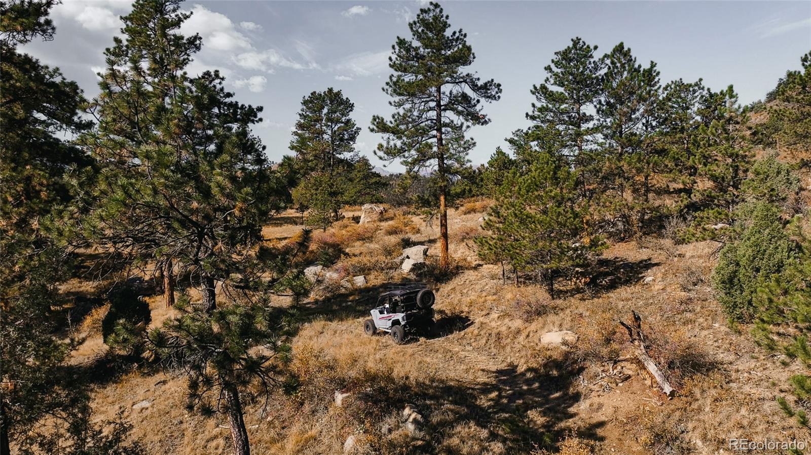 Upper Bear Creek Road Evergreen, CO 80439 - Photo 27 of 31