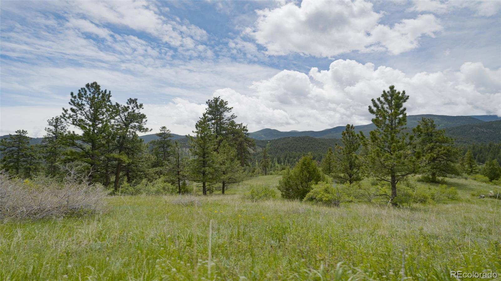 Upper Bear Creek Road Evergreen, CO 80439 - Photo 7 of 31 a view of a lush green space