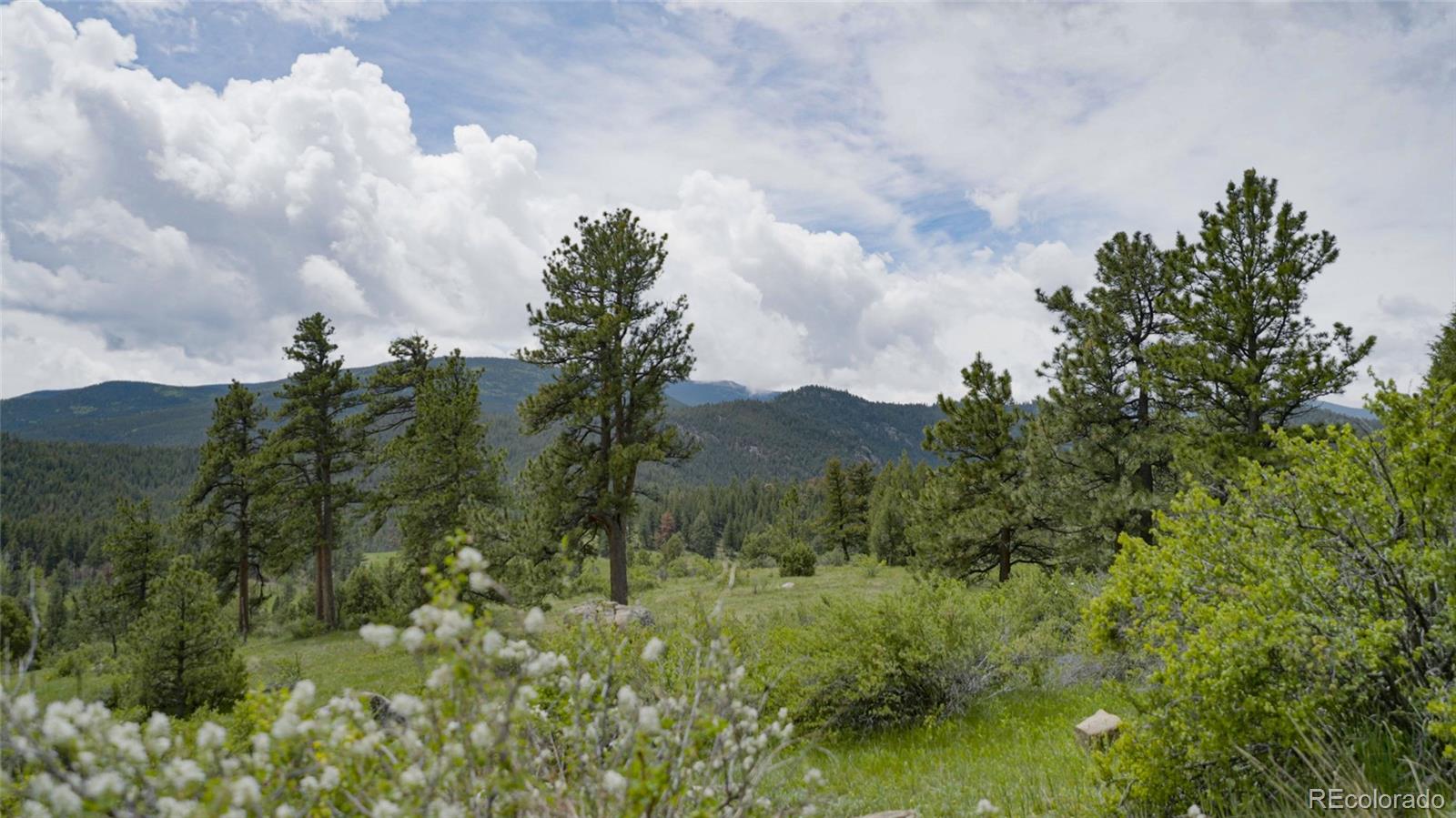 Upper Bear Creek Road Evergreen, CO 80439 - Photo 9 of 31 a view of a bunch of trees and bushes