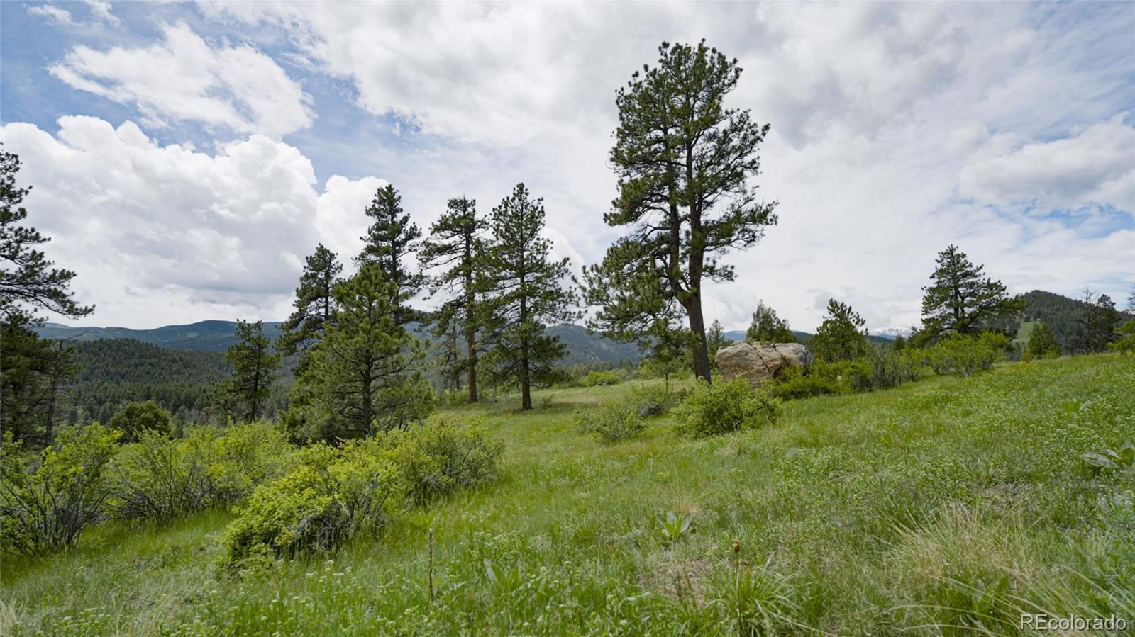 Upper Bear Creek Road Evergreen, CO 80439 - Photo 10 of 31 a big yard with lots of green space