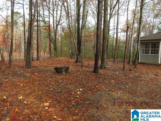205 Wolf Pen Ridge Road Pell City, AL 35128 - Photo 4 of 50