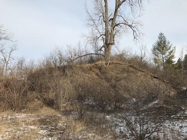 Kelly Rd Kelly Road Cass City, MI 48726 - Photo 7 of 22