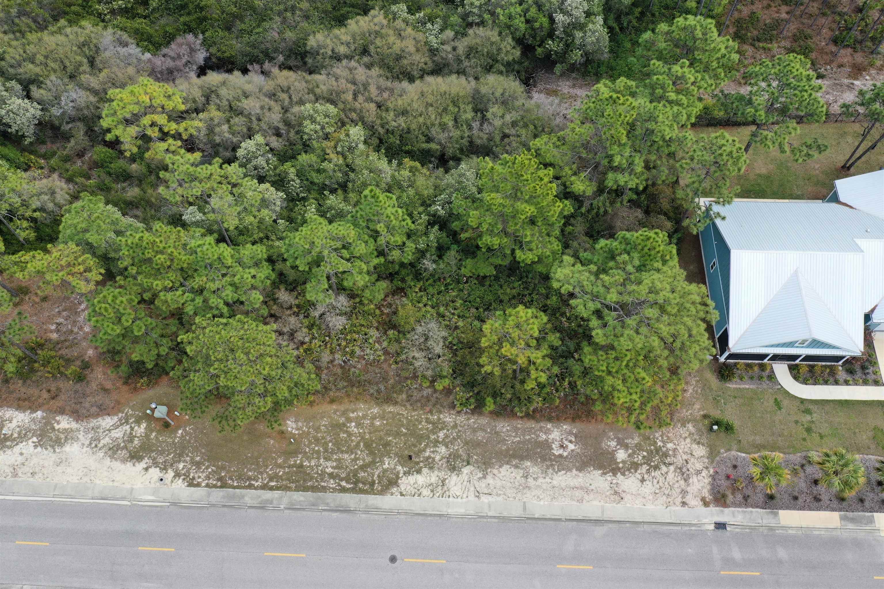 316 Royal Tern Way Carrabelle, FL 32322 - Photo 1 of 22