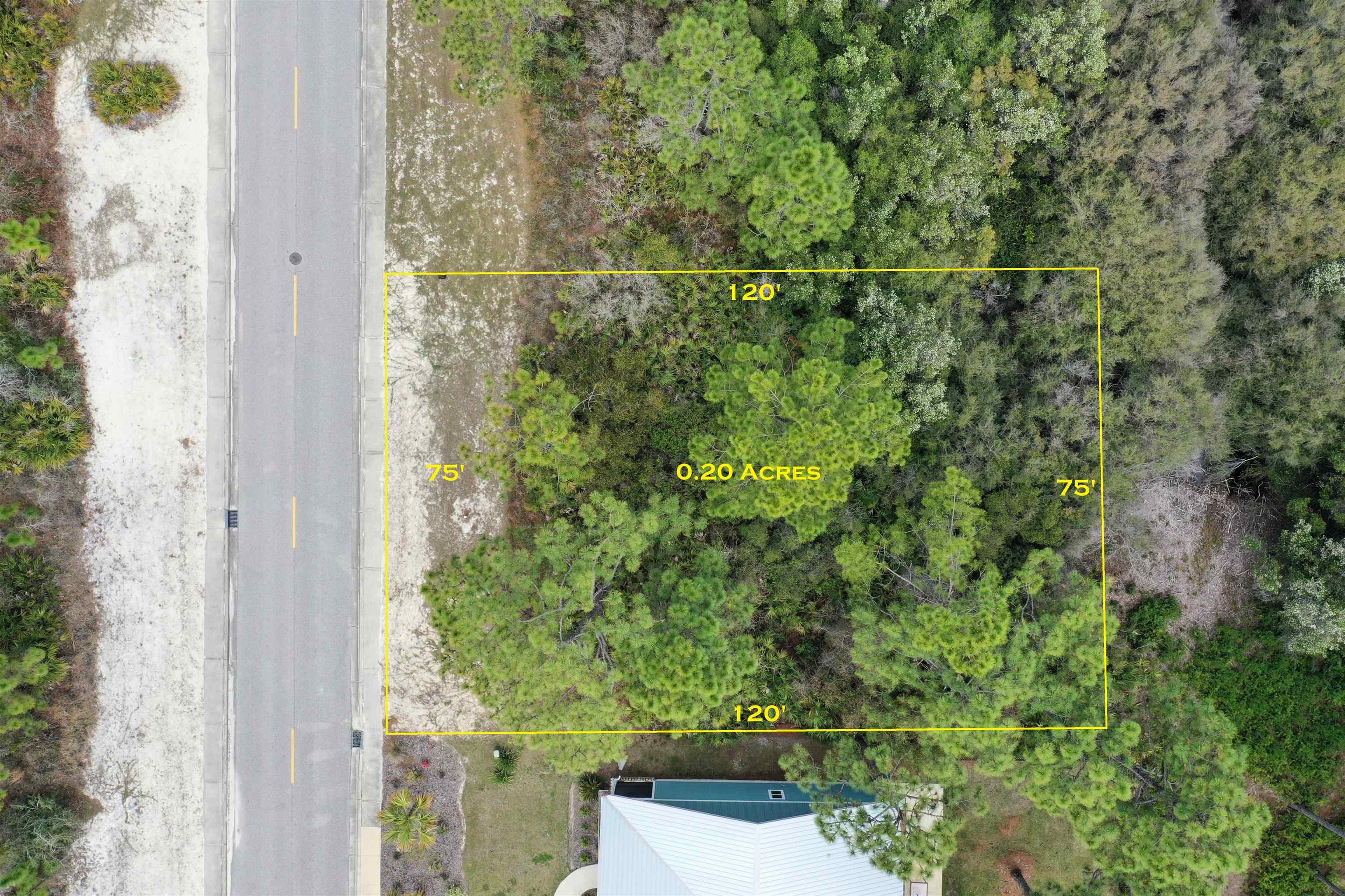 316 Royal Tern Way Carrabelle, FL 32322 - Photo 12 of 22