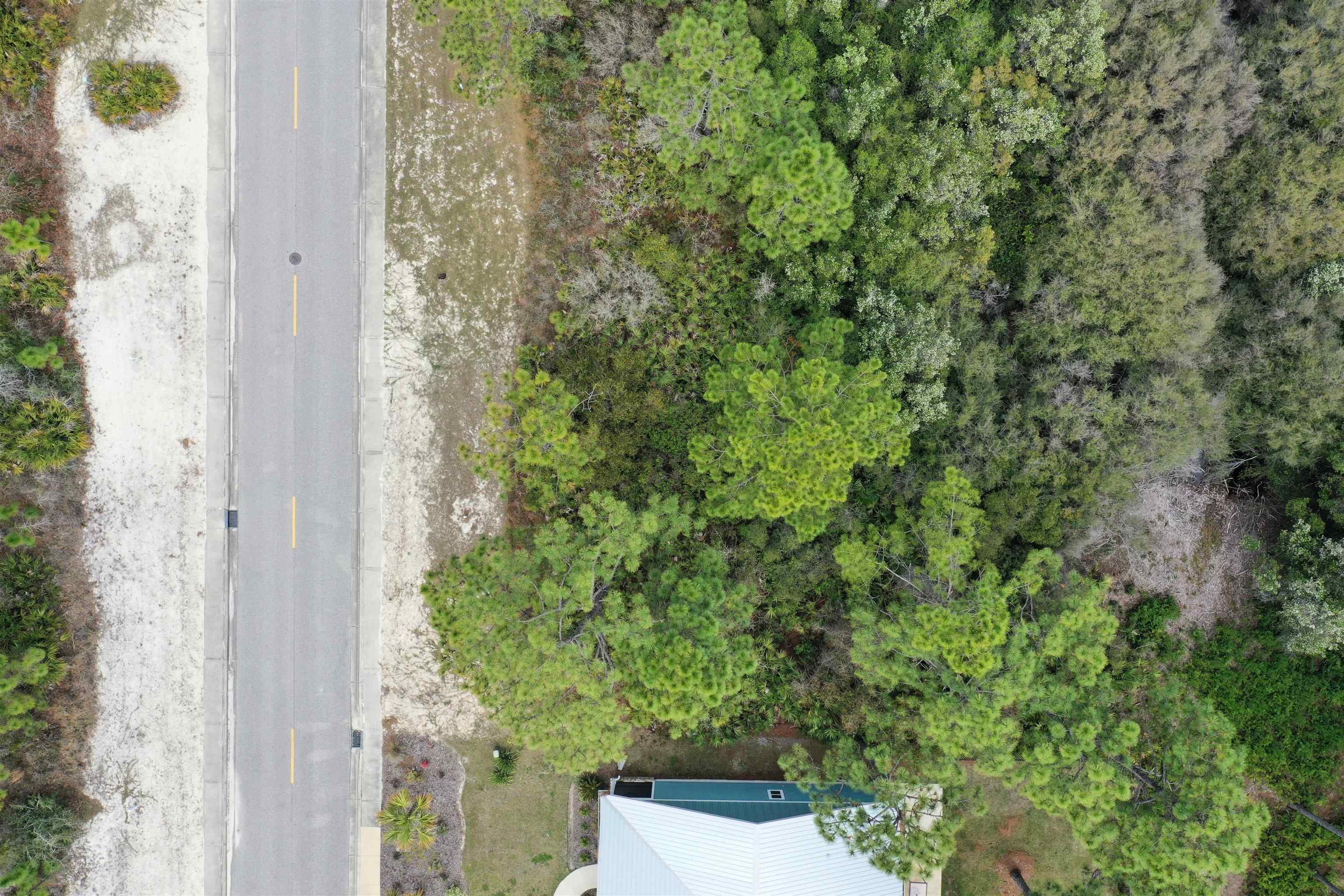 316 Royal Tern Way Carrabelle, FL 32322 - Photo 13 of 22