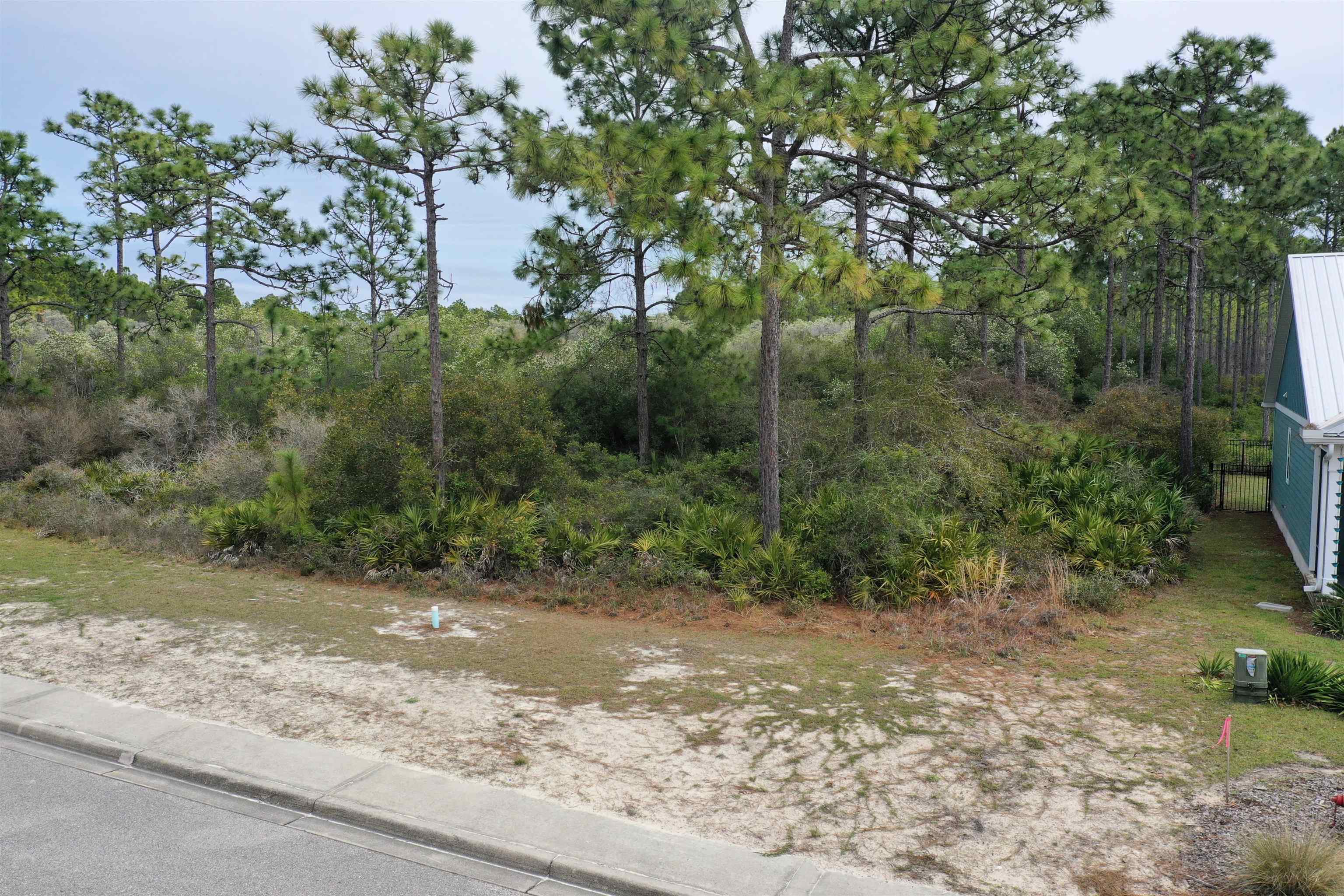 316 Royal Tern Way Carrabelle, FL 32322 - Photo 19 of 22