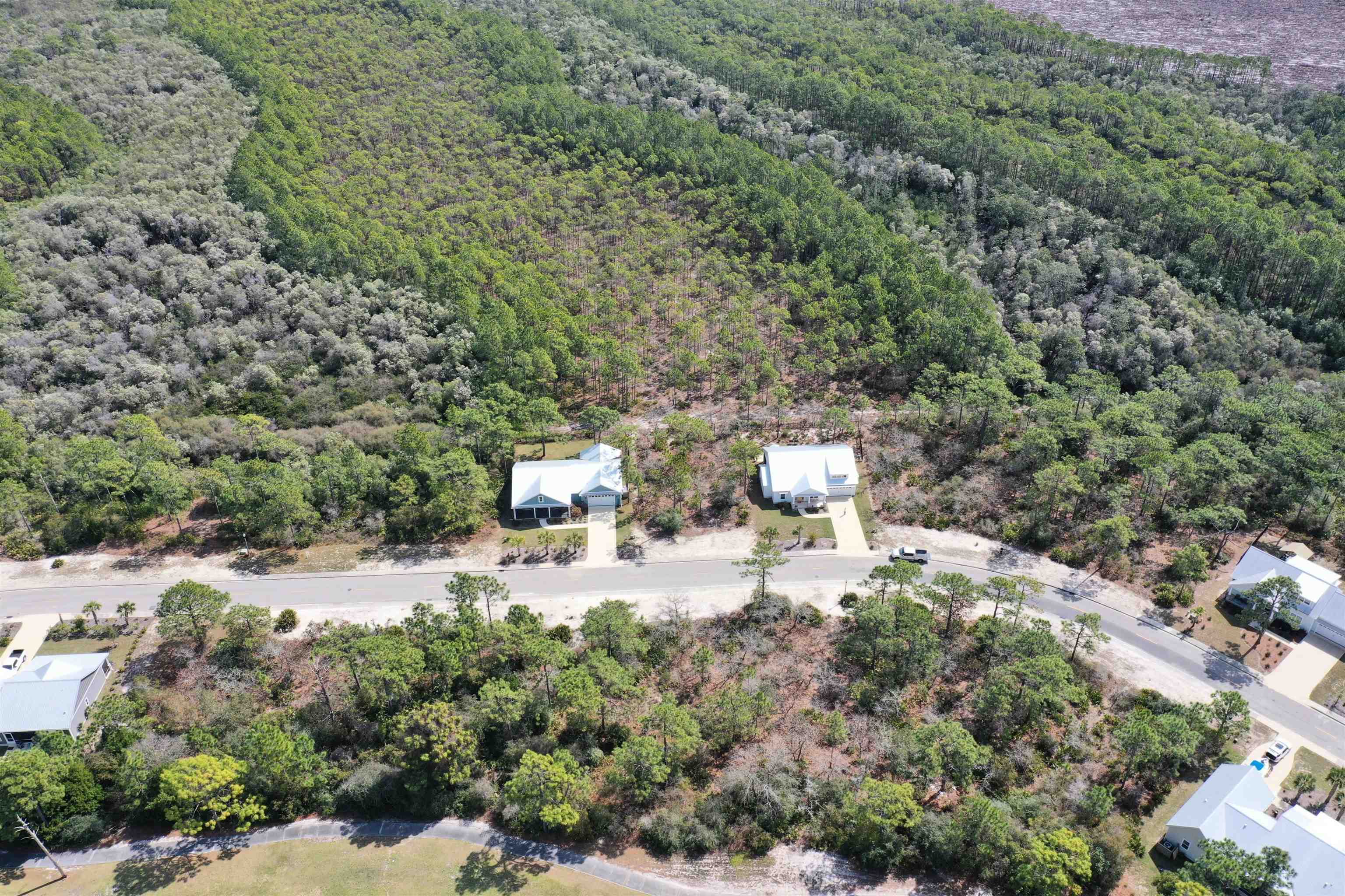 316 Royal Tern Way Carrabelle, FL 32322 - Photo 3 of 22