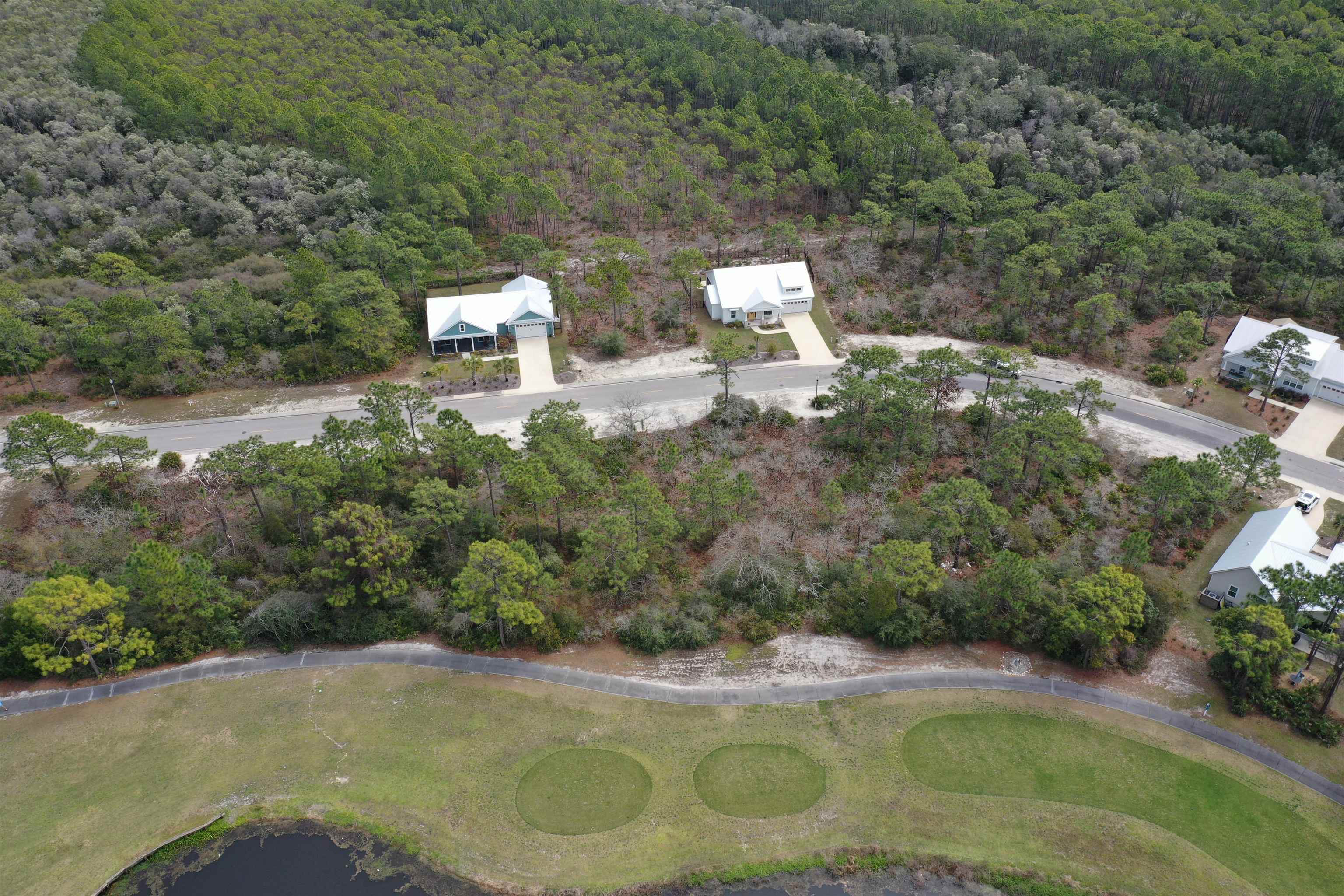 316 Royal Tern Way Carrabelle, FL 32322 - Photo 7 of 22