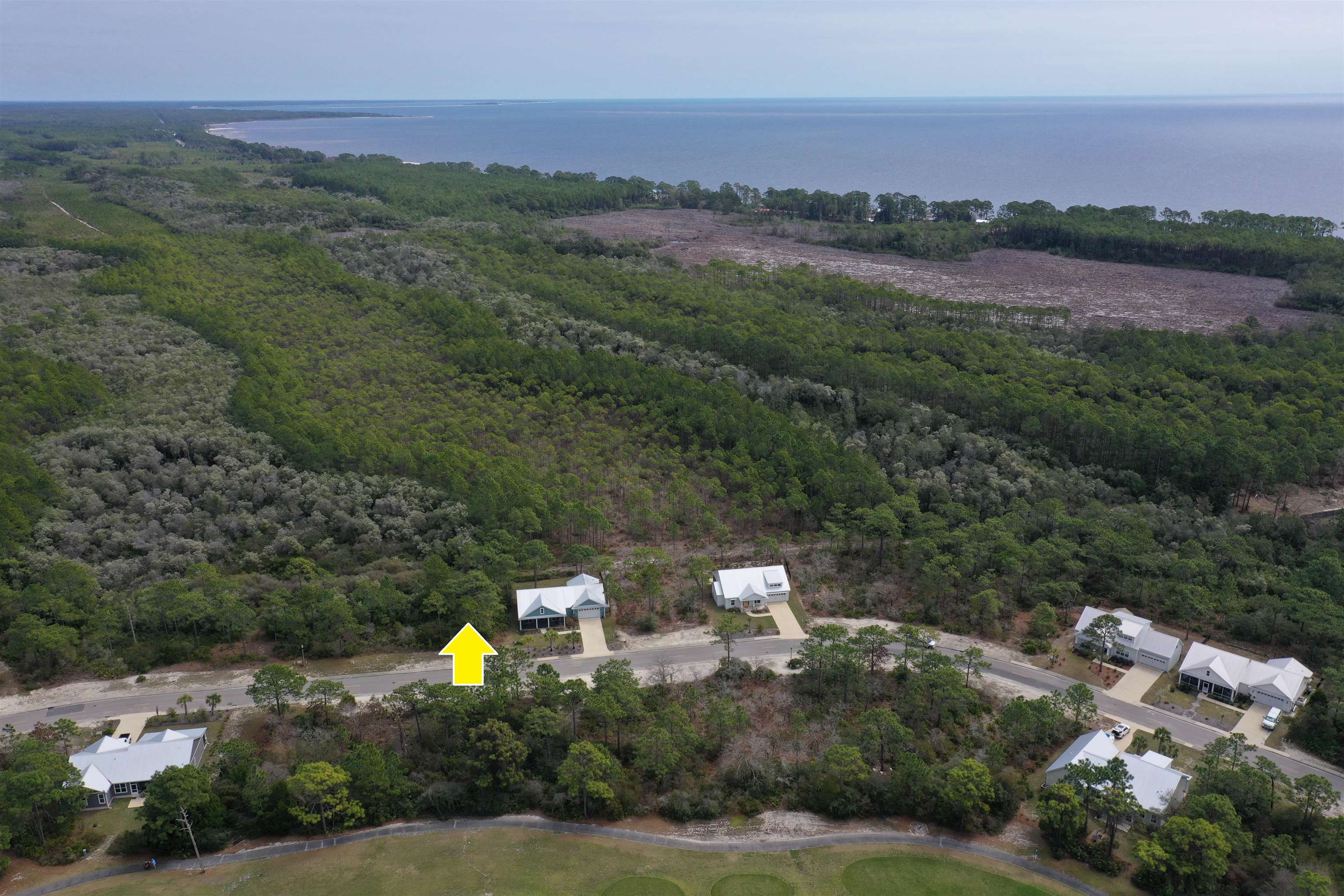 316 Royal Tern Way Carrabelle, FL 32322 - Photo 8 of 22