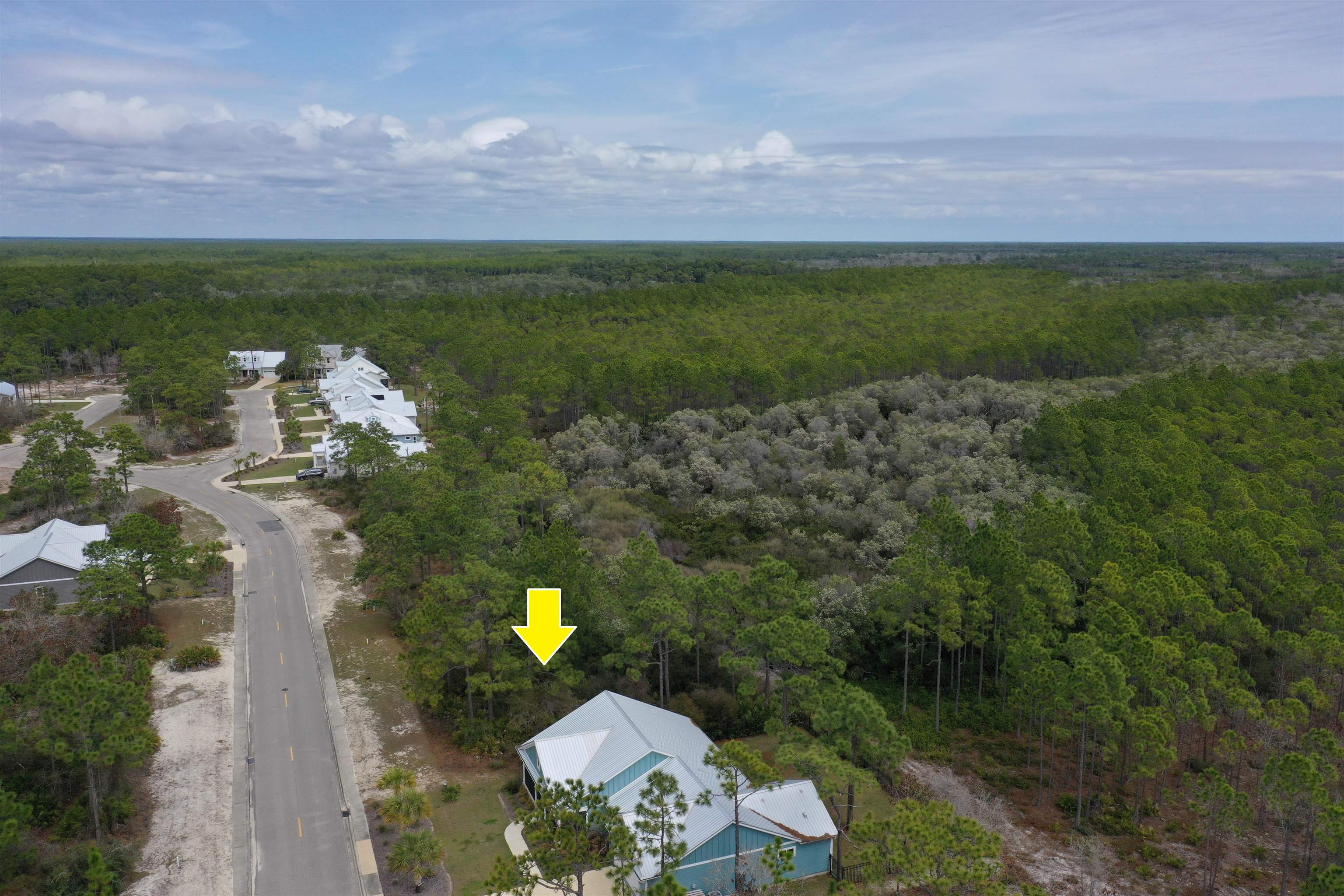 316 Royal Tern Way Carrabelle, FL 32322 - Photo 10 of 22