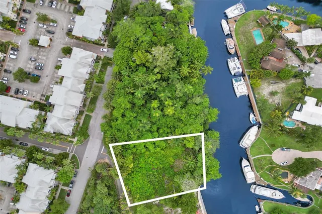 a view of a flower in a yard