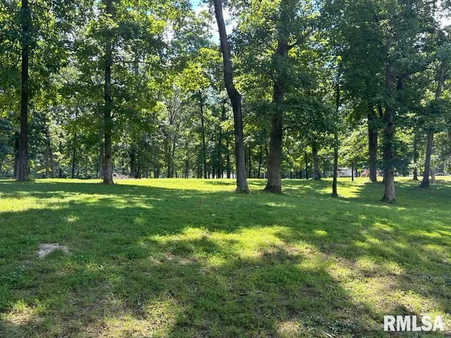 a huge green field with lots of trees