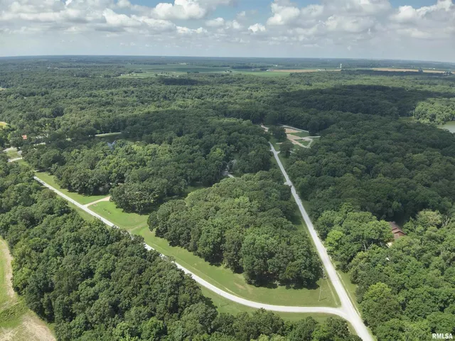 a view of a lush green space
