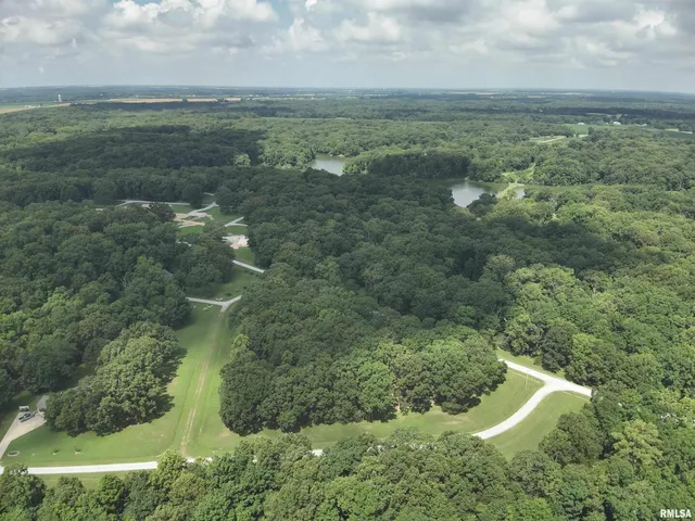 a view of a field with an ocean and trees