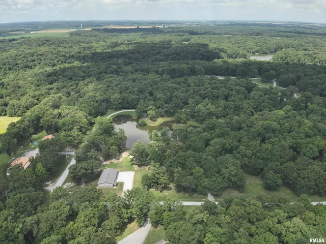 a view of a city with lush green forest