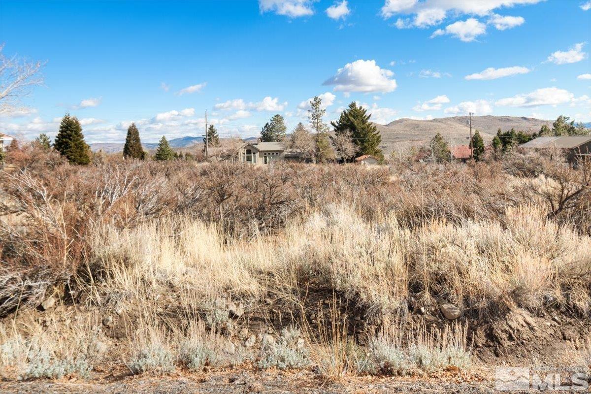 5585 Goldenrod Drive Reno, NV 89511 - Photo 11 of 15 Photo 11