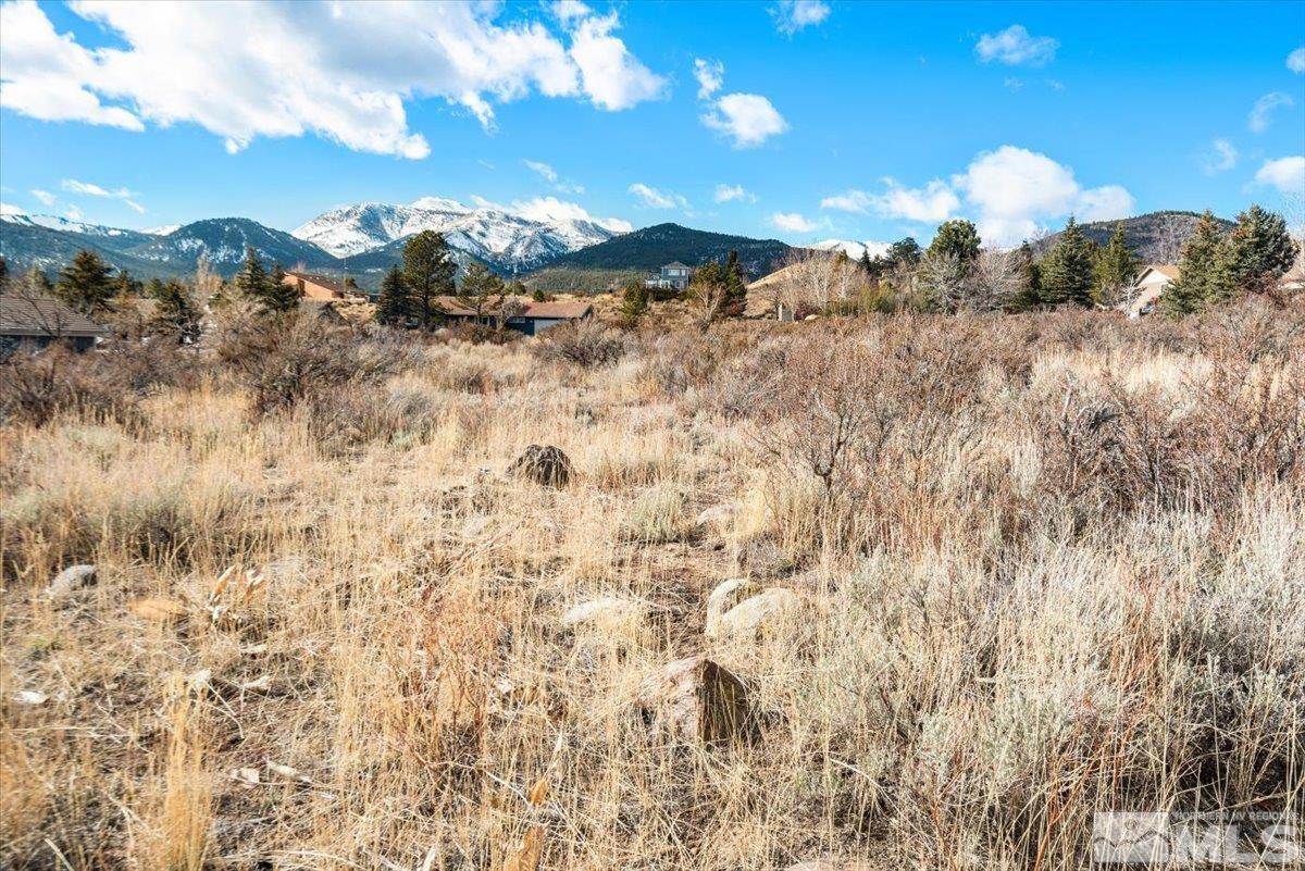 5585 Goldenrod Drive Reno, NV 89511 - Photo 13 of 15 Photo 13